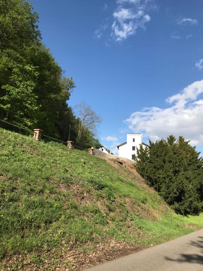 Domaine Du Haut-Koenigsbourg Orschwiller Exterior foto